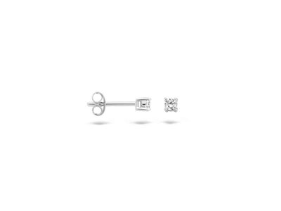 oorbellen - goud 14 kt | BLUSH