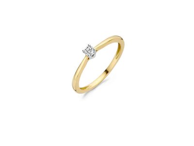 ring - goud 14 kt | BLUSH