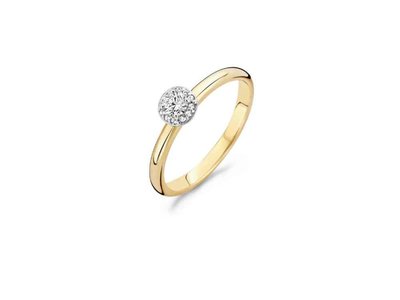 ring - goud 14 kt | BLUSH