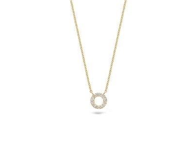 ketting met hanger - goud 14 kt | BLUSH