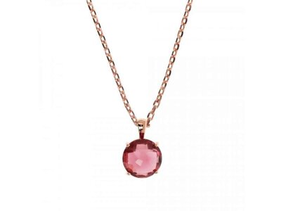 ketting met hanger - BRONZALLURE | ROSE