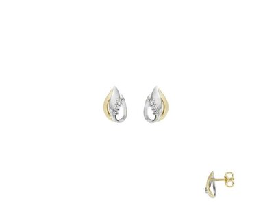 OORBEL - BEHEYT | goud 18 kt