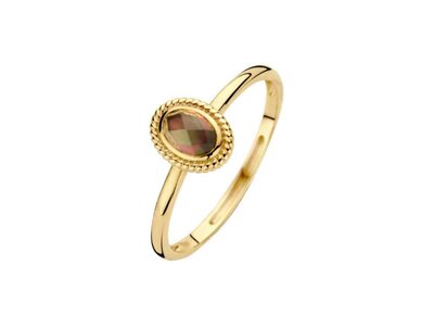 ring - goud 14 kt | BLUSH