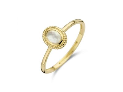 ring - goud 14 kt | BLUSH