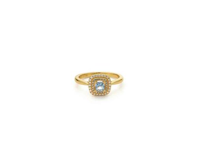 ring - 24KAE | plaque