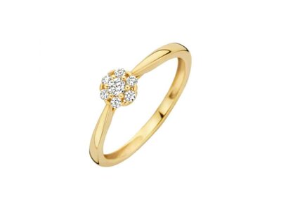 ring - goud 14 kt | BLUSH