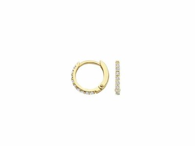 OORBEL - goud 14 kt | BLUSH