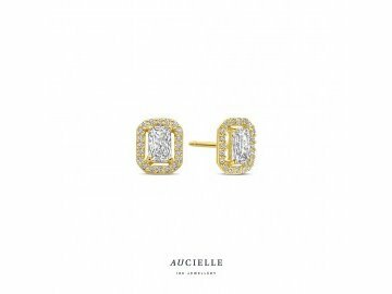 OORBEL - AUCIELLE | goud 18 kt