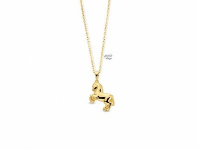 ketting met hanger - GENTO | plaque