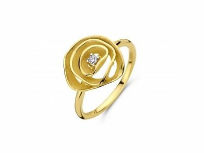 ring - PIGOU | goud 18 kt