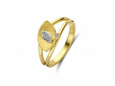 ring - PIGOU | goud 18 kt