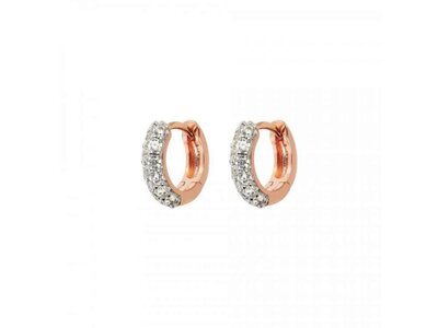 oorbellen - BRONZALLURE | ROSE