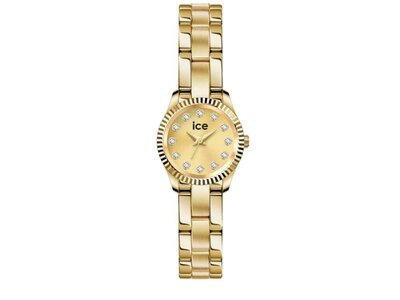 UURWERK - ICE WATCH | metaal