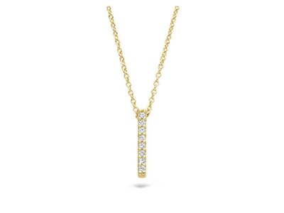 ketting - goud 14 kt | BLUSH
