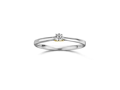 ring - DULCI NEA | goud 18 kt