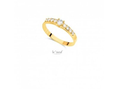 RING - LE NEUF | goud 9 kt