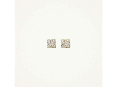 oorbellen - goud 14 kt | BLUSH
