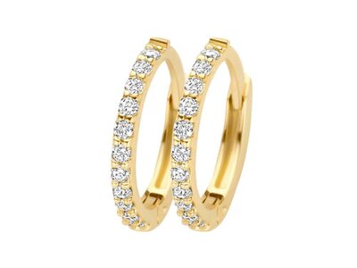 oorbellen - goud 14 kt | BLUSH