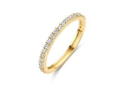 ring - goud 14 kt | BLUSH
