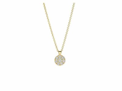 ketting met hanger - goud 14 kt | BLUSH