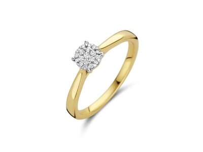 ring - DULCI NEA | goud 18 kt