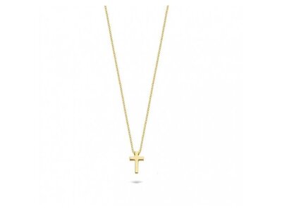 ketting met hanger - goud 14 kt | BLUSH