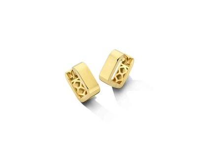 OORBEL - BEHEYT | goud 18 kt