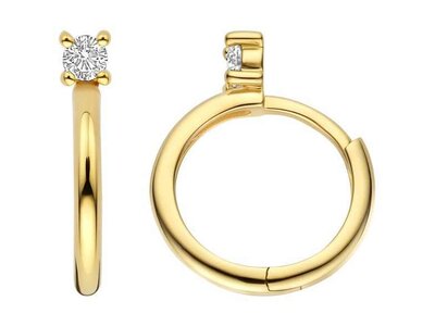oorbellen - goud 14 kt | BLUSH