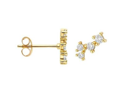 oorbellen - goud 14 kt | BLUSH