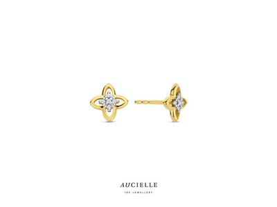 OORBEL - AUCIELLE | goud 18 kt