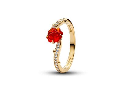 ring - PANDORA | plaque
