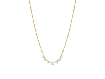 ketting met hanger - S ROSE | plaque