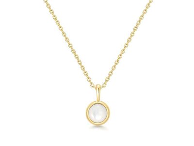 ketting - ANIA HAIE | plaque