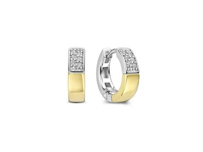 oorbellen - TI SENTO | plaque