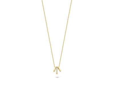 ketting met hanger - goud 14 kt | BLUSH