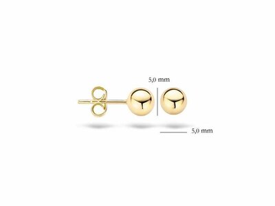 oorbellen - goud 14 kt | BLUSH