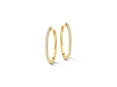 oorbellen - NAIOMY | plaque