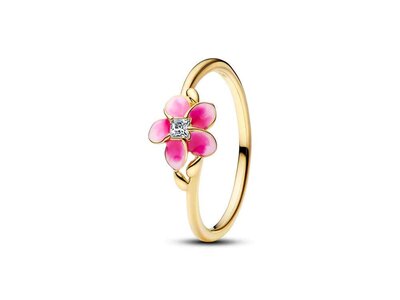 ring - PANDORA | plaque