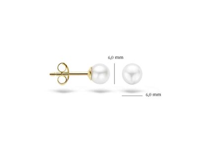 OORBEL - goud 14 kt | BLUSH