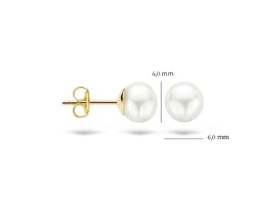 OORBEL - goud 14 kt | BLUSH