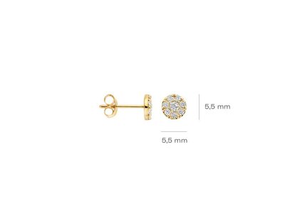 oorbellen - goud 14 kt | BLUSH