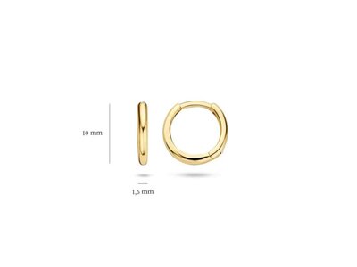 oorbellen - goud 14 kt | BLUSH